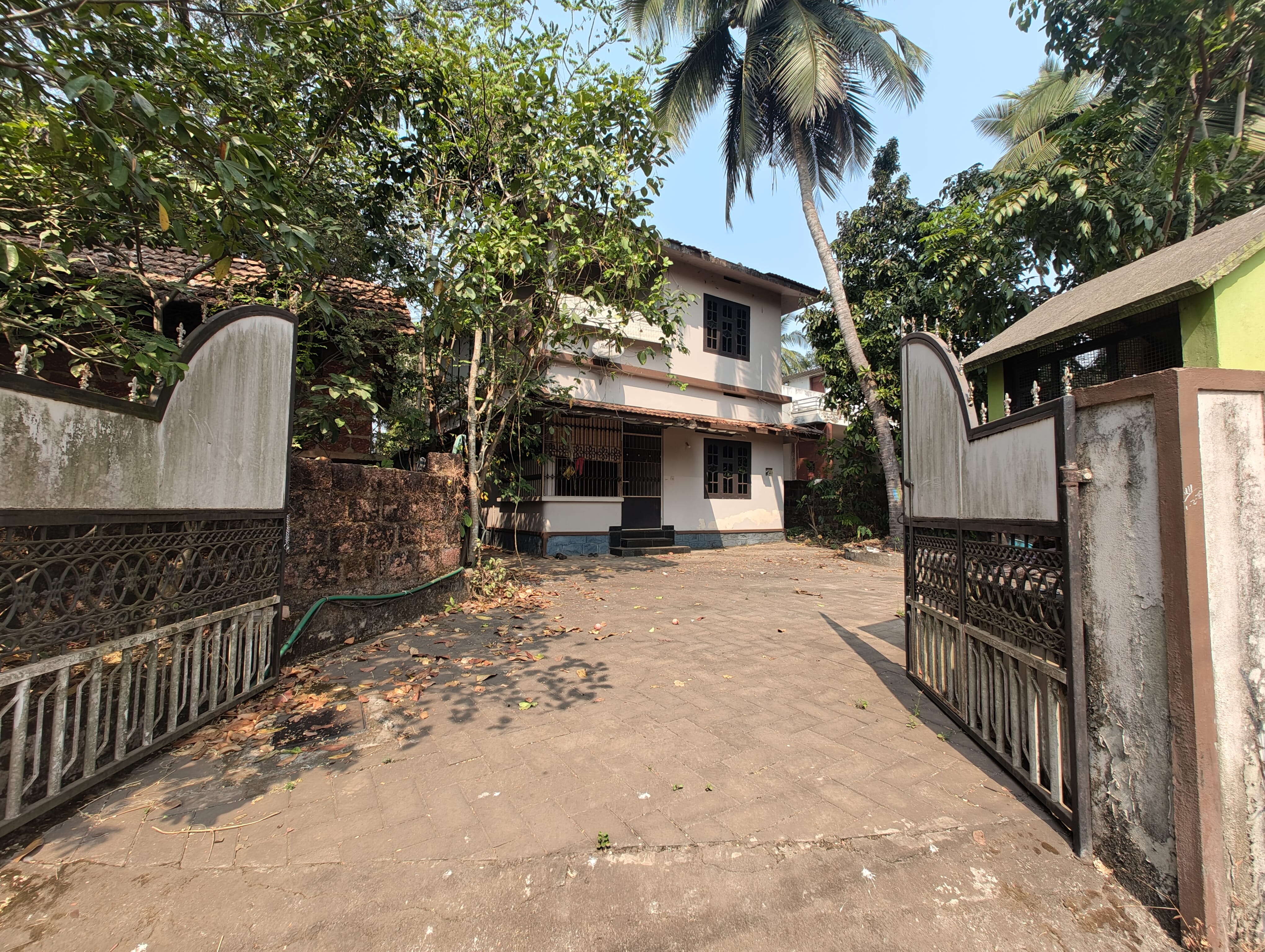 Front View