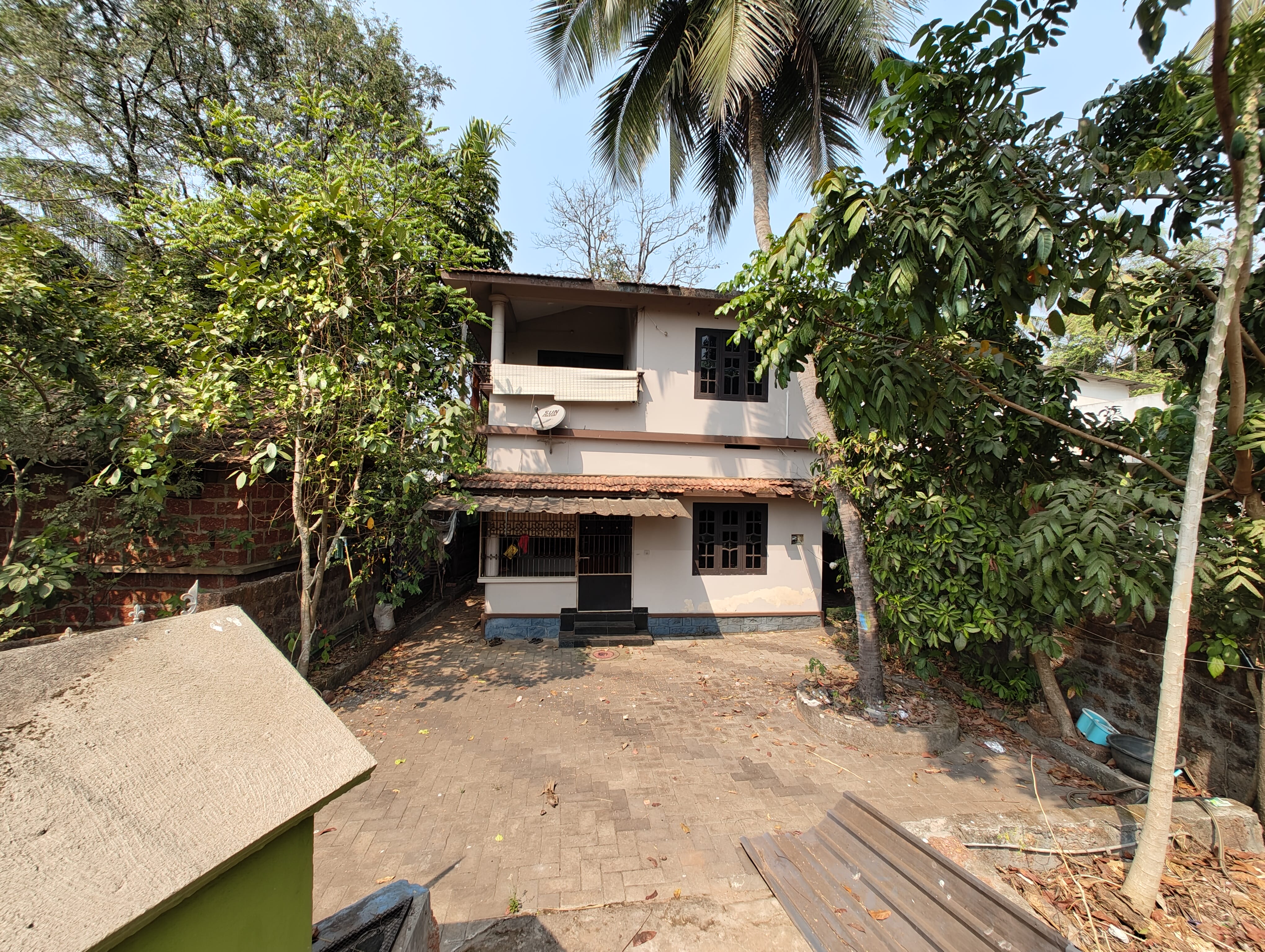 Front View